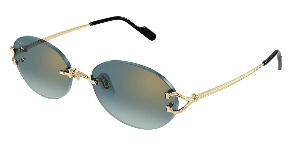 Cartier CT0551S - Image 16