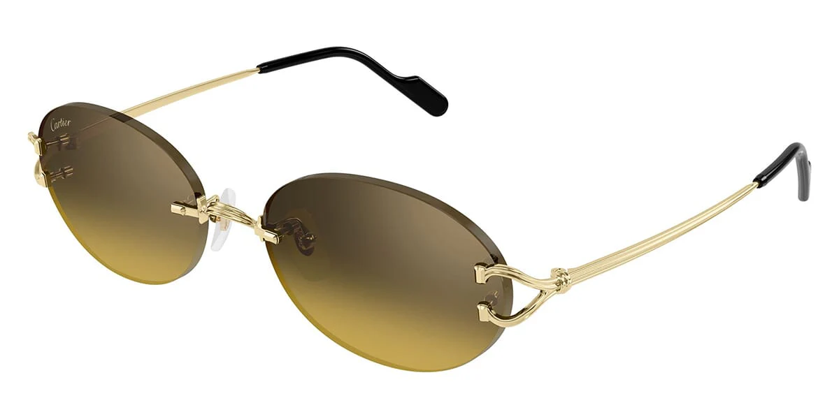 Cartier CT0551S - Image 23
