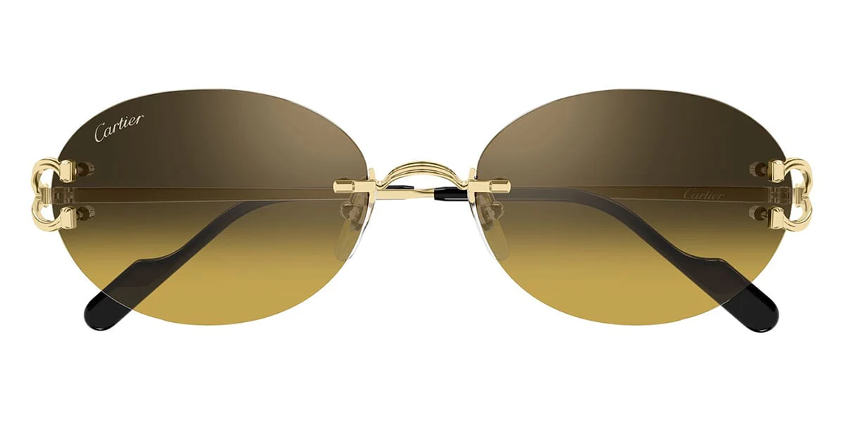 Cartier CT0551S - Image 24