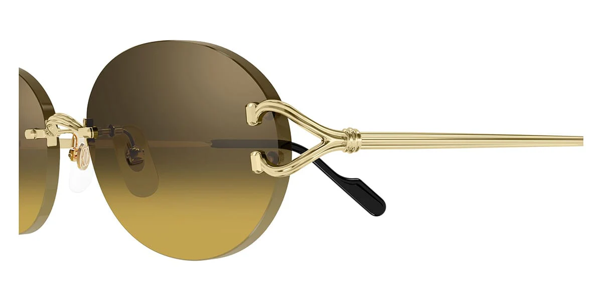 Cartier CT0551S - Image 25