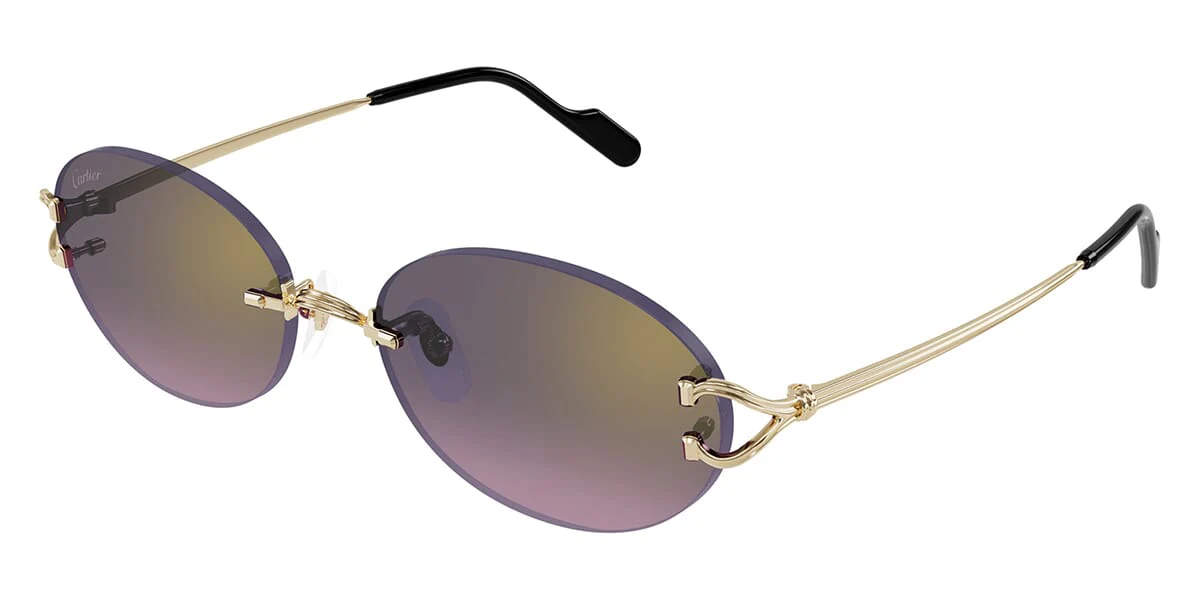 Cartier CT0551S - Image 4