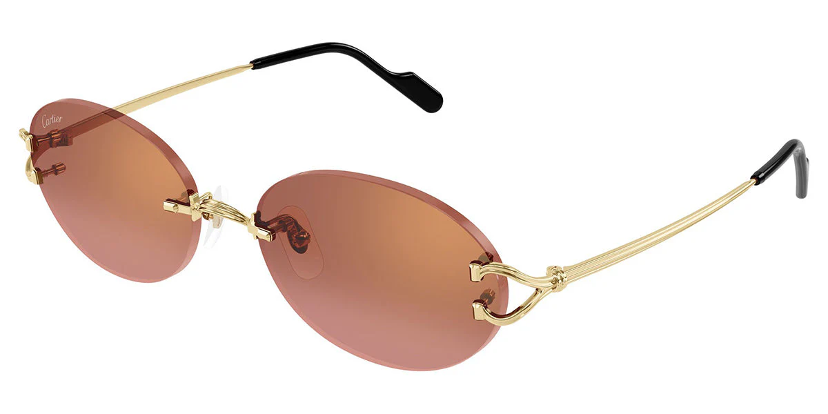 Cartier CT0551S - Image 9