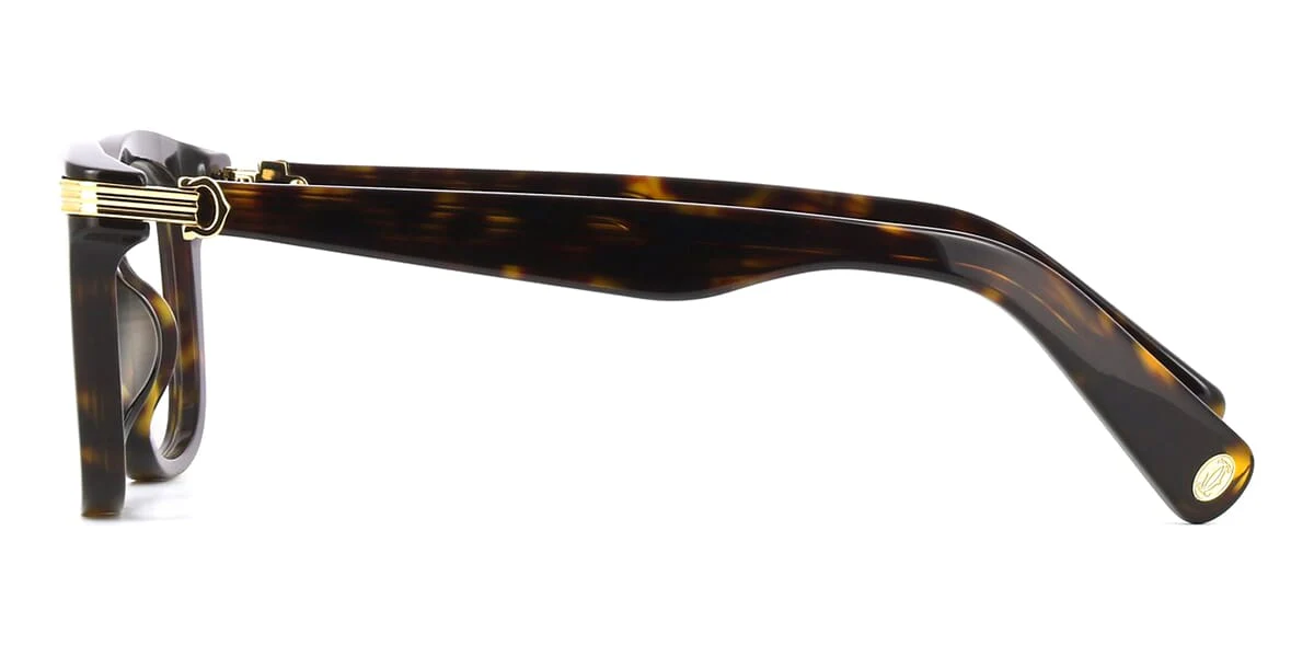 Cartier CT0558O - Image 18