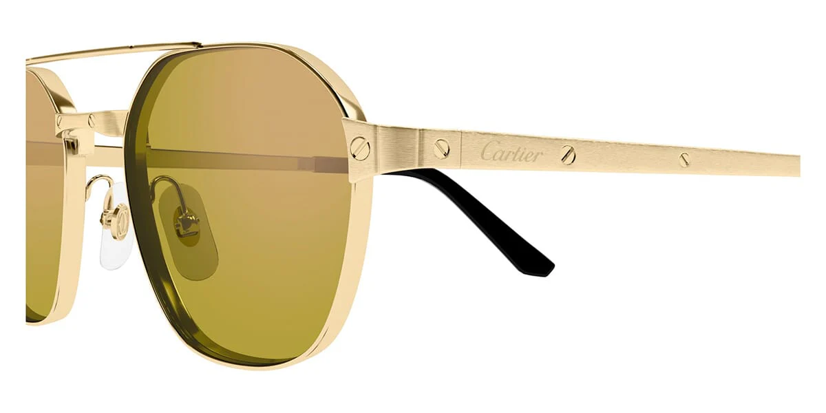 Cartier CT0571S - Image 13