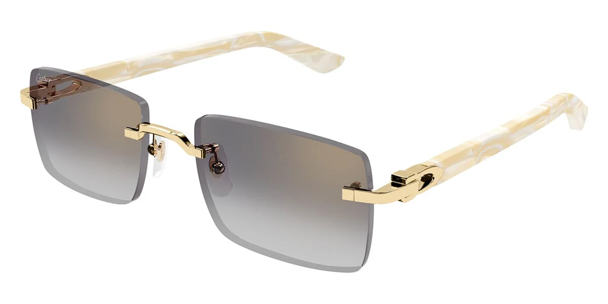 Cartier CT0579S - Image 11