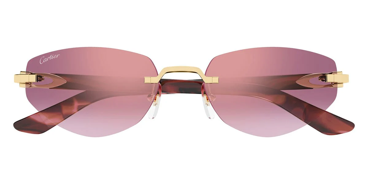Cartier CT0580S - Image 5
