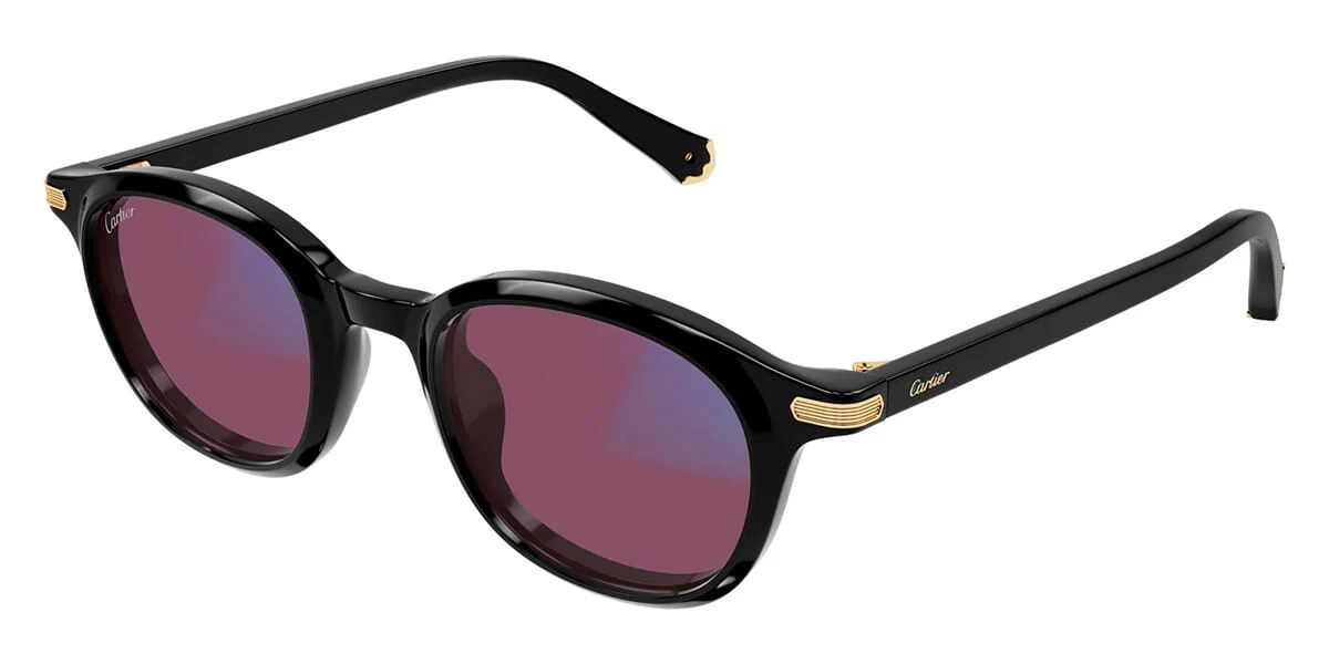 Cartier CT0584S - Image 14