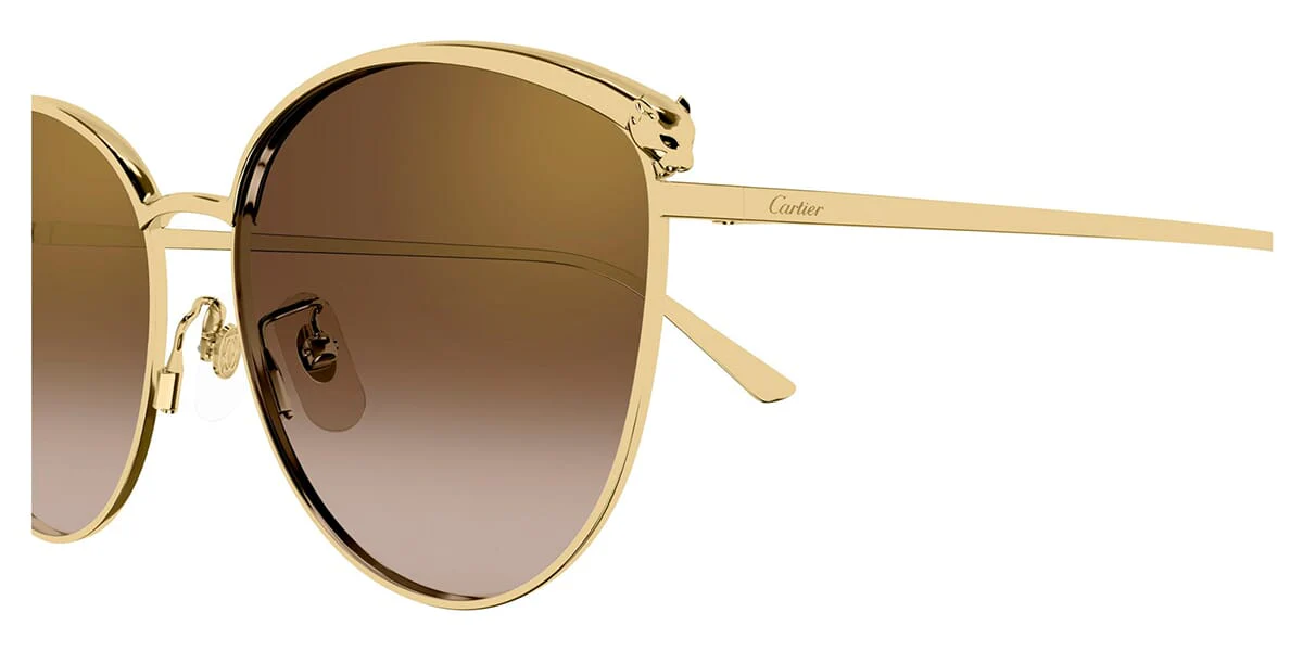 Cartier CT0597SA - Image 3