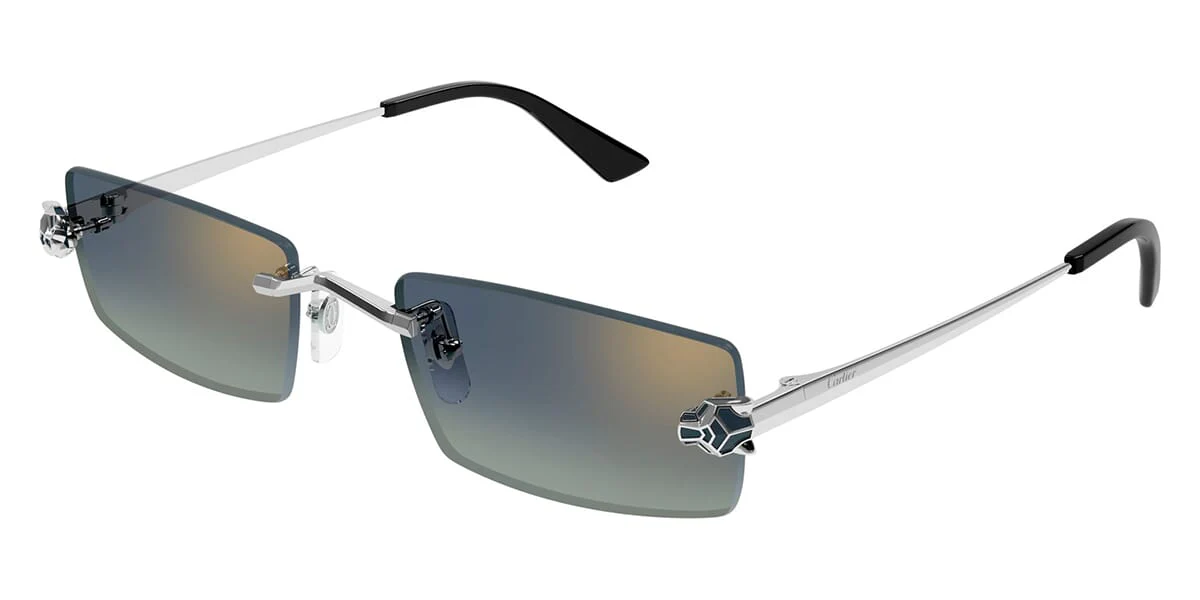 Cartier CT0598S - Image 10
