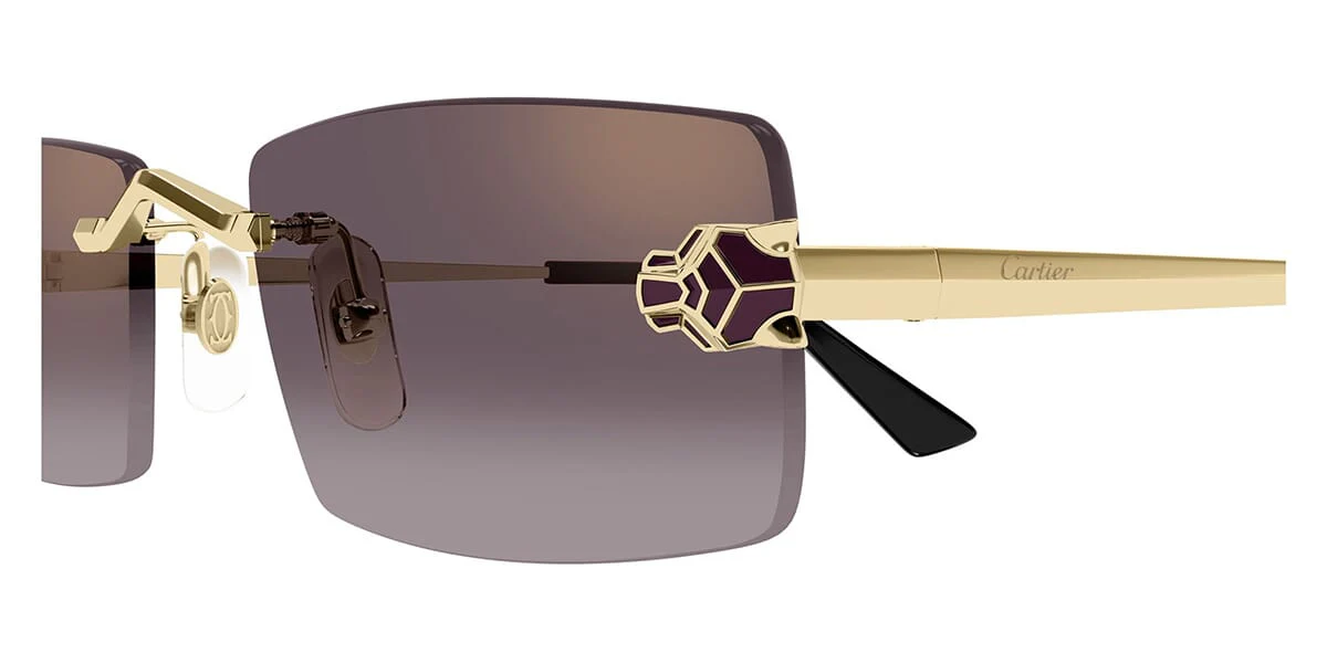 Cartier CT0598S - Image 15