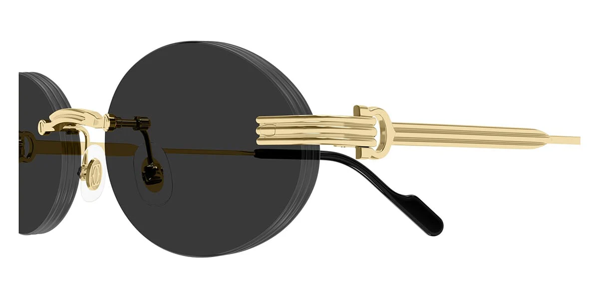 Cartier CT0615S - Image 3