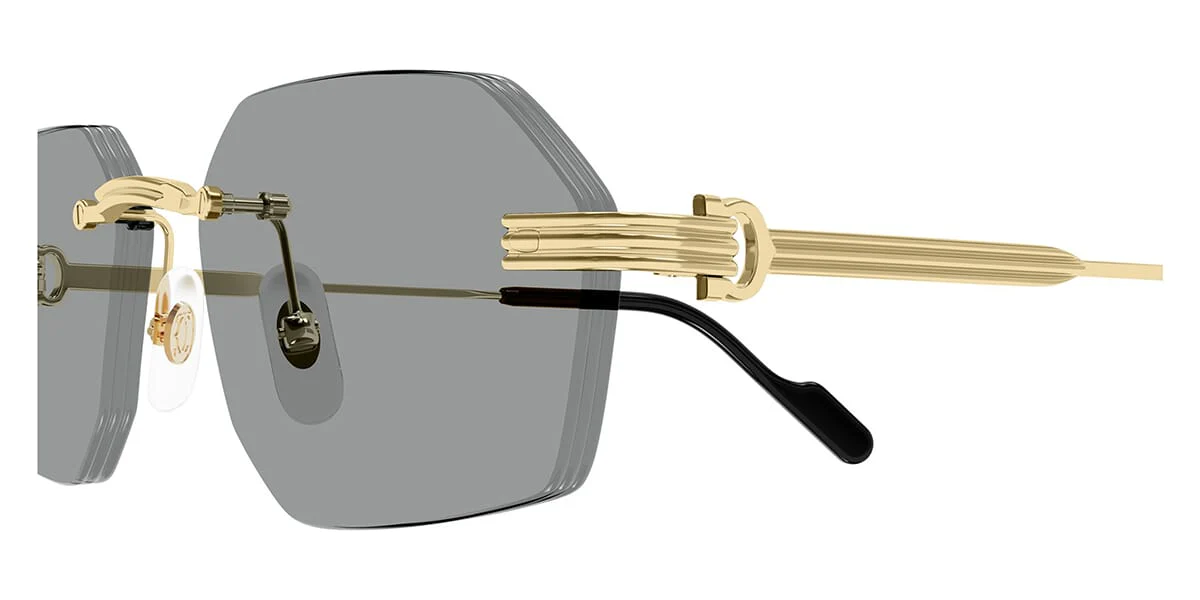 Cartier CT0616S - Image 13