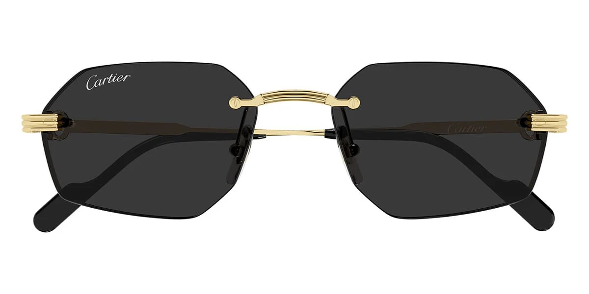 Cartier CT0616S - Image 2