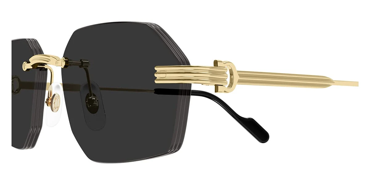 Cartier CT0616S - Image 3