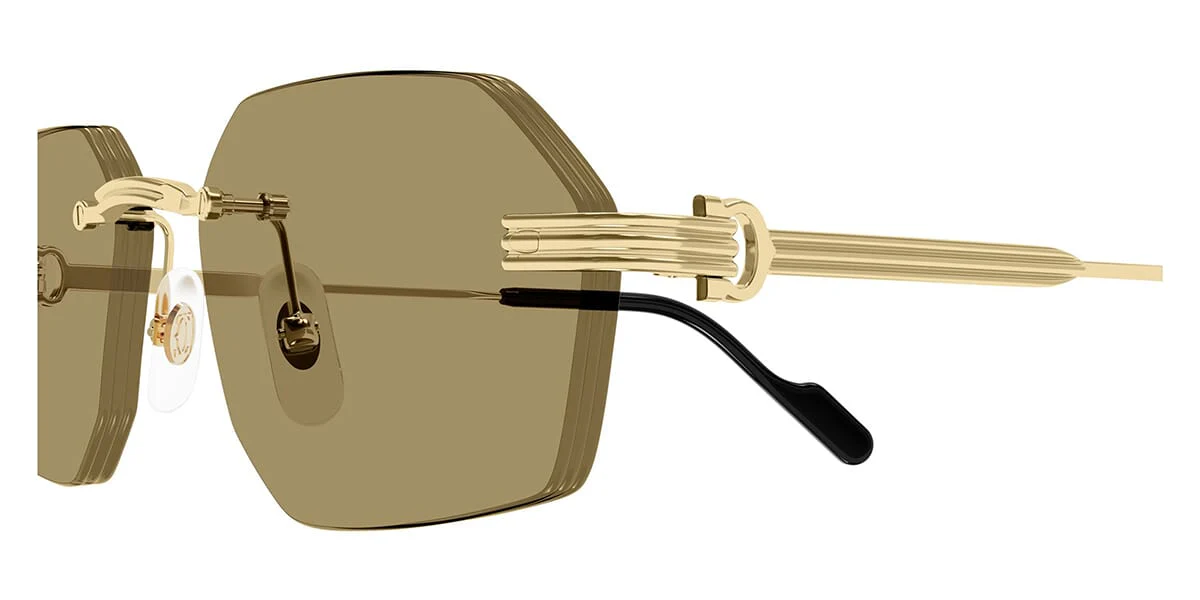Cartier CT0616S - Image 6