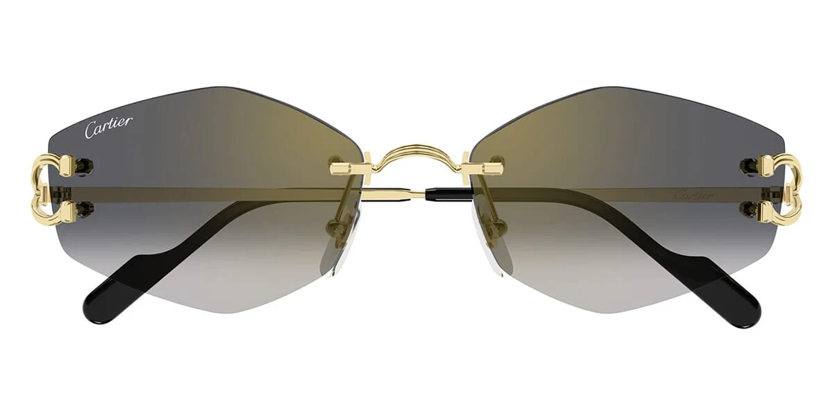 Cartier CT0620S - Image 2
