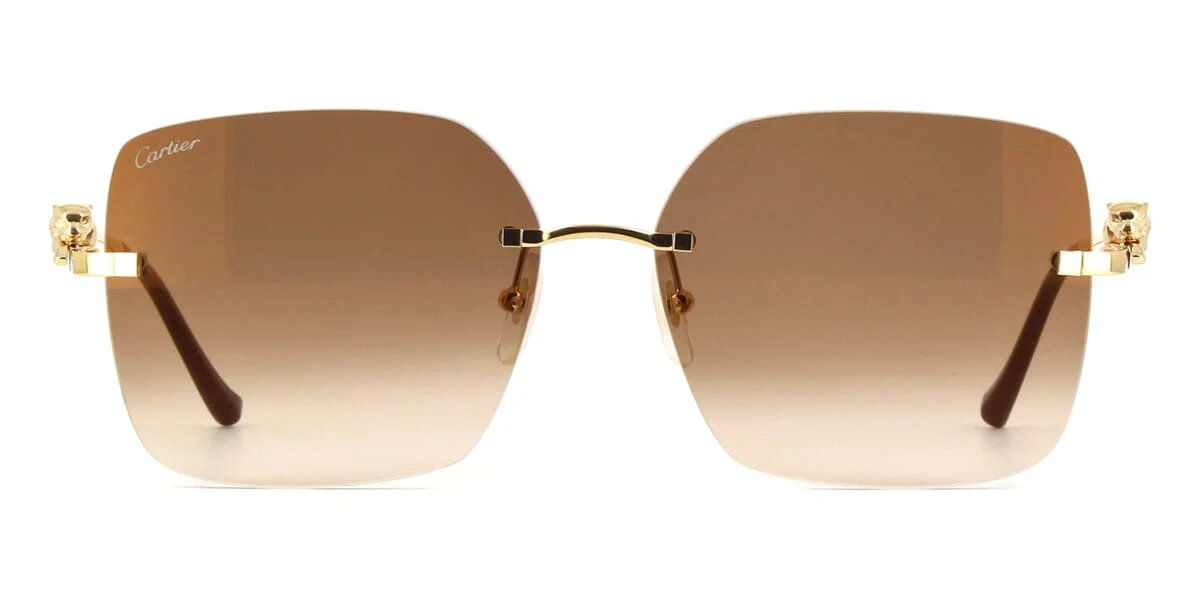 Cartier Panthere CT0359S - Image 6