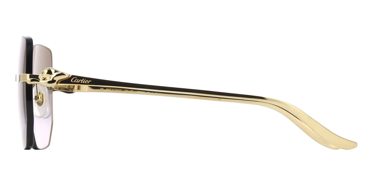 Cartier Panthere CT0549S - Image 3