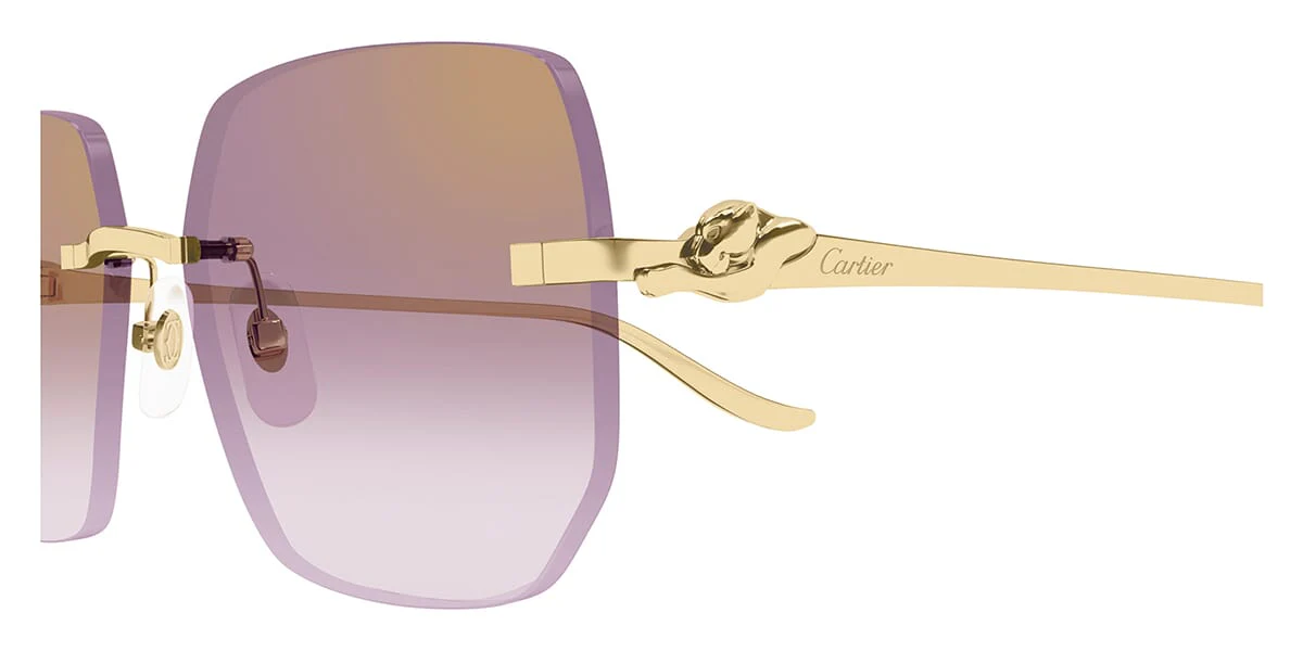 Cartier Panthere CT0549S - Image 9