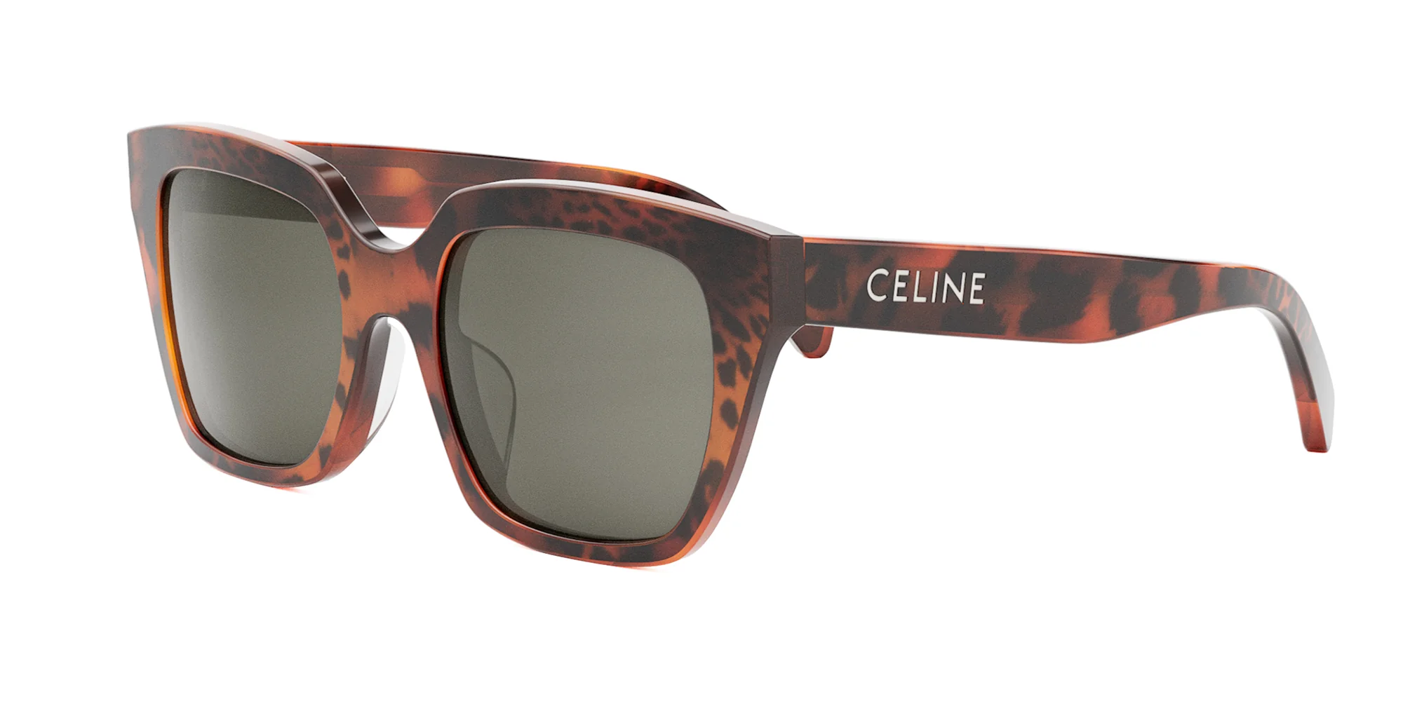 CELINE Monochroms CL40198F - Image 17