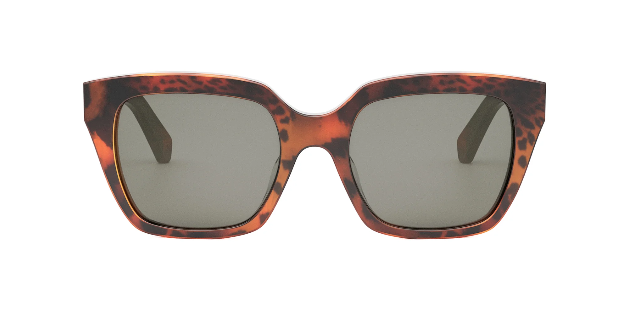 CELINE Monochroms CL40198F - Image 18