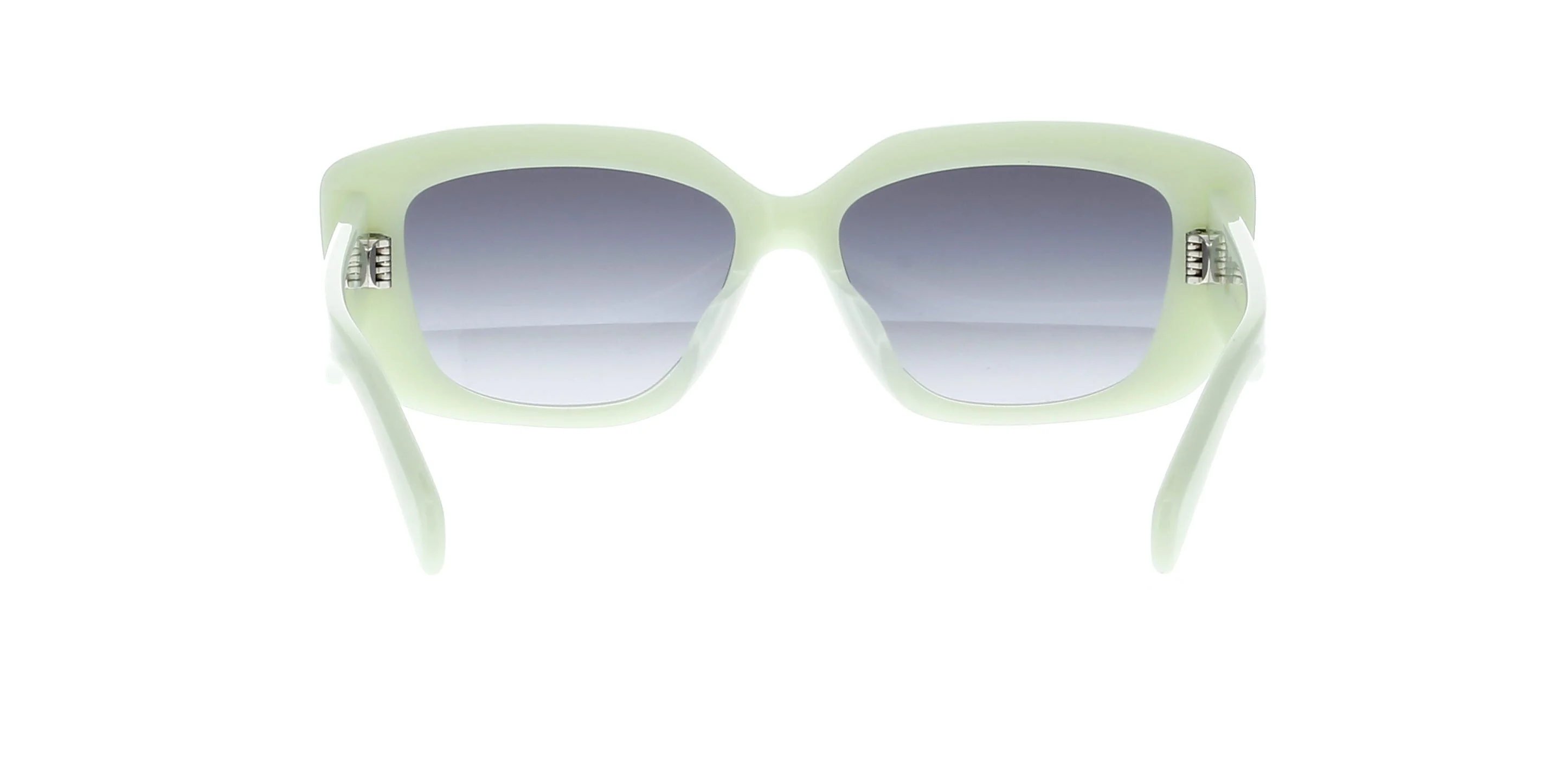 CELINE Triomphe CL40216U - Image 10