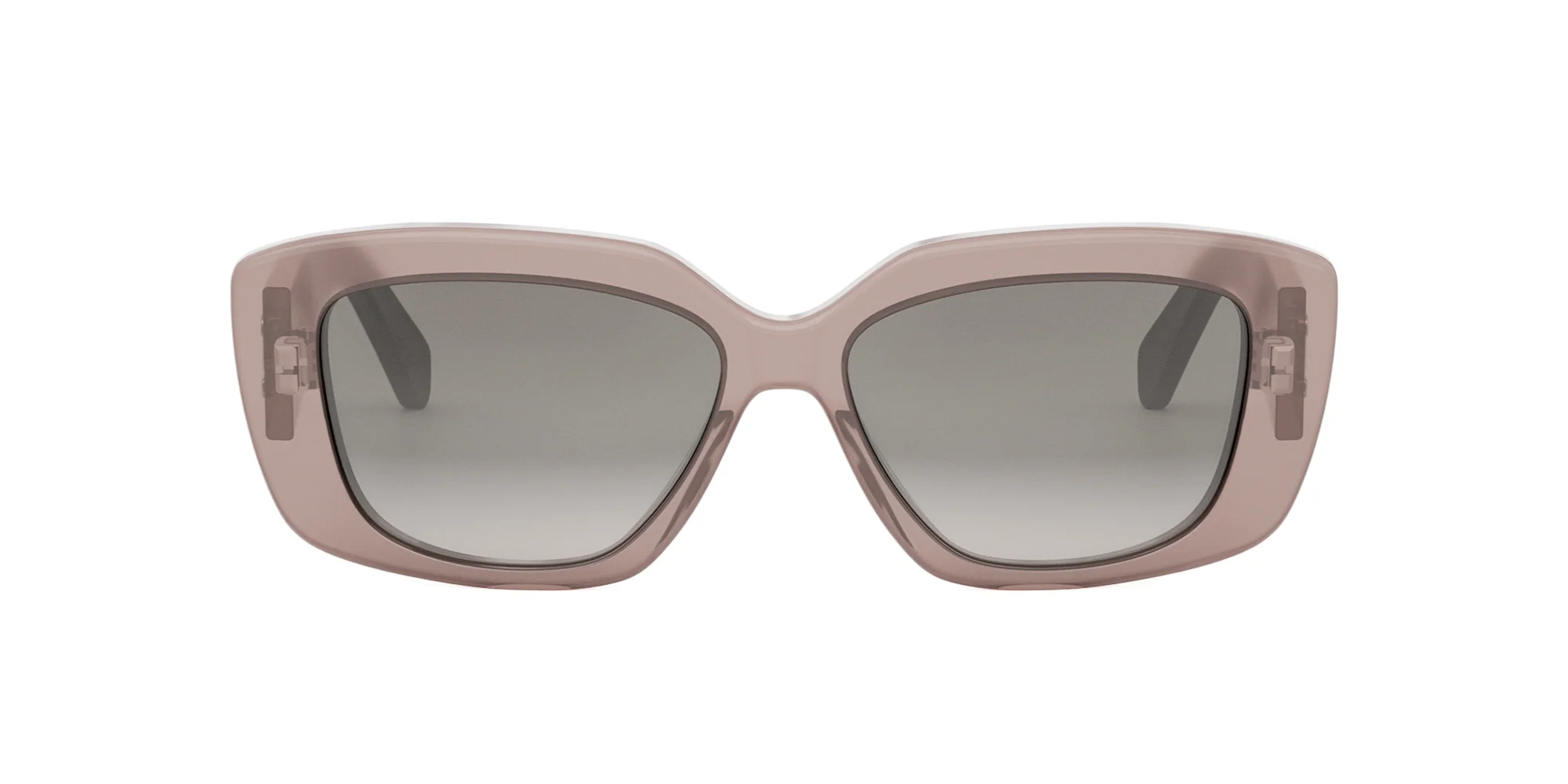 CELINE Triomphe CL40216U - Image 20