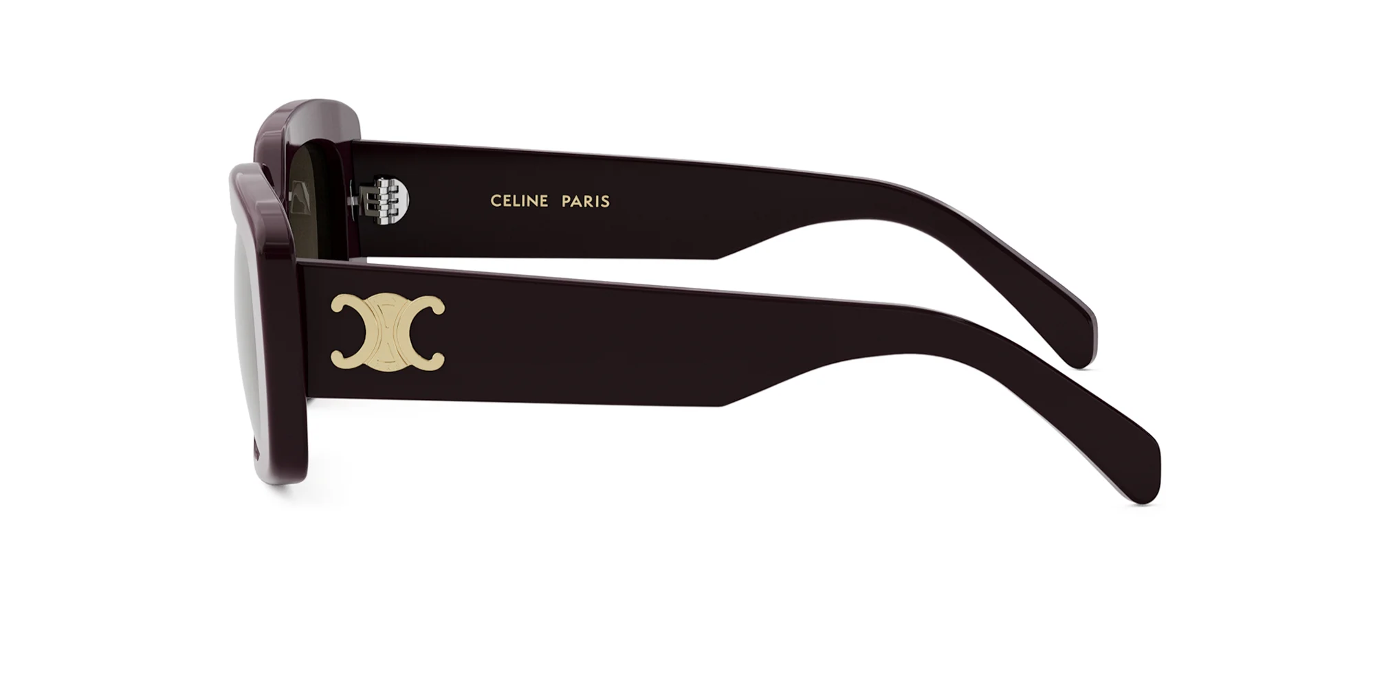CELINE Triomphe CL40216U - Image 24