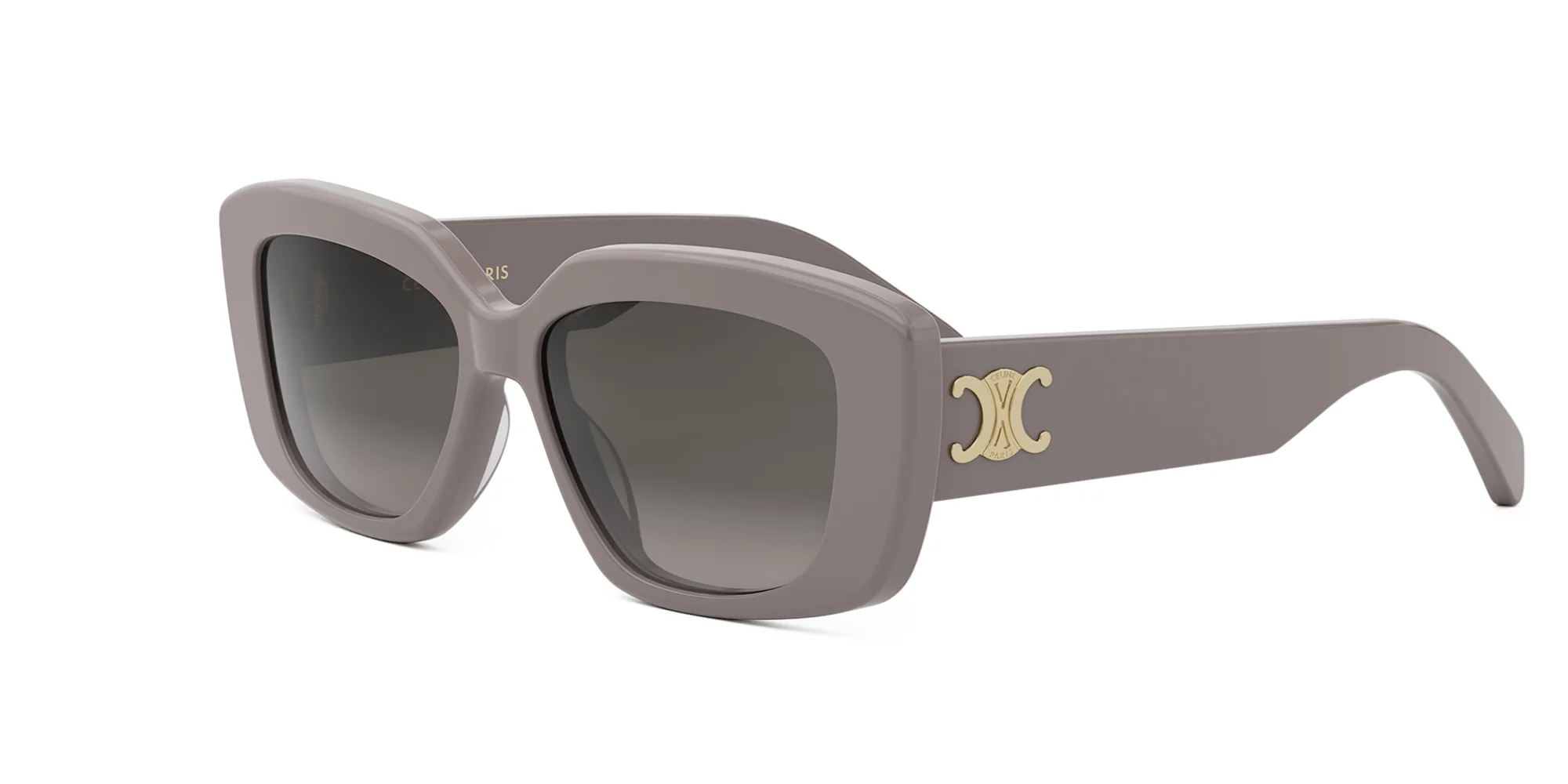 CELINE Triomphe CL40216U - Image 26