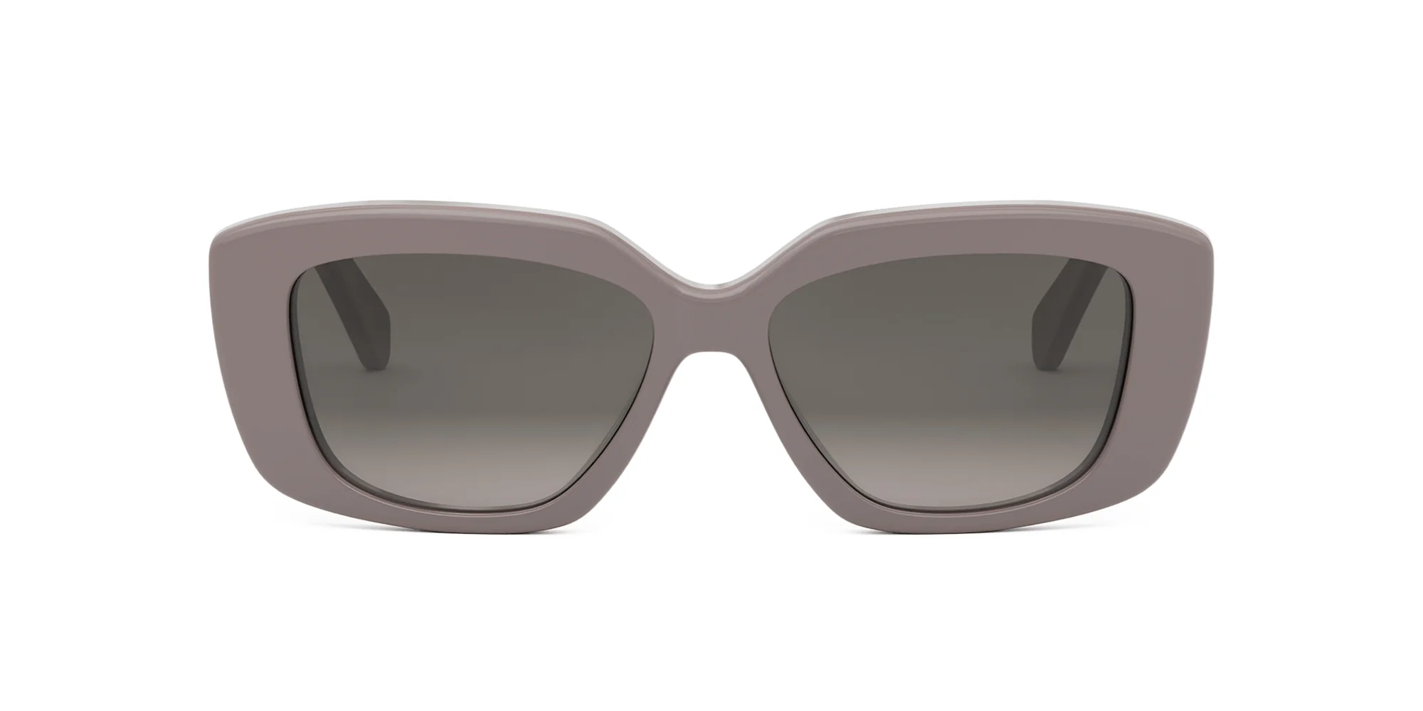 CELINE Triomphe CL40216U - Image 27