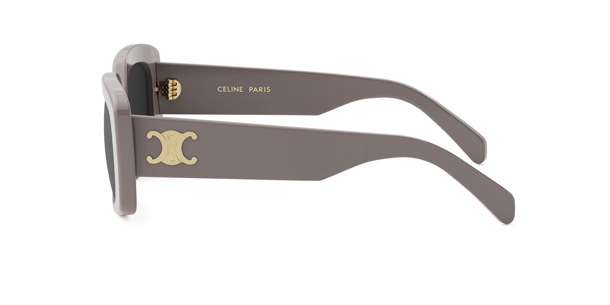 CELINE Triomphe CL40216U - Image 28