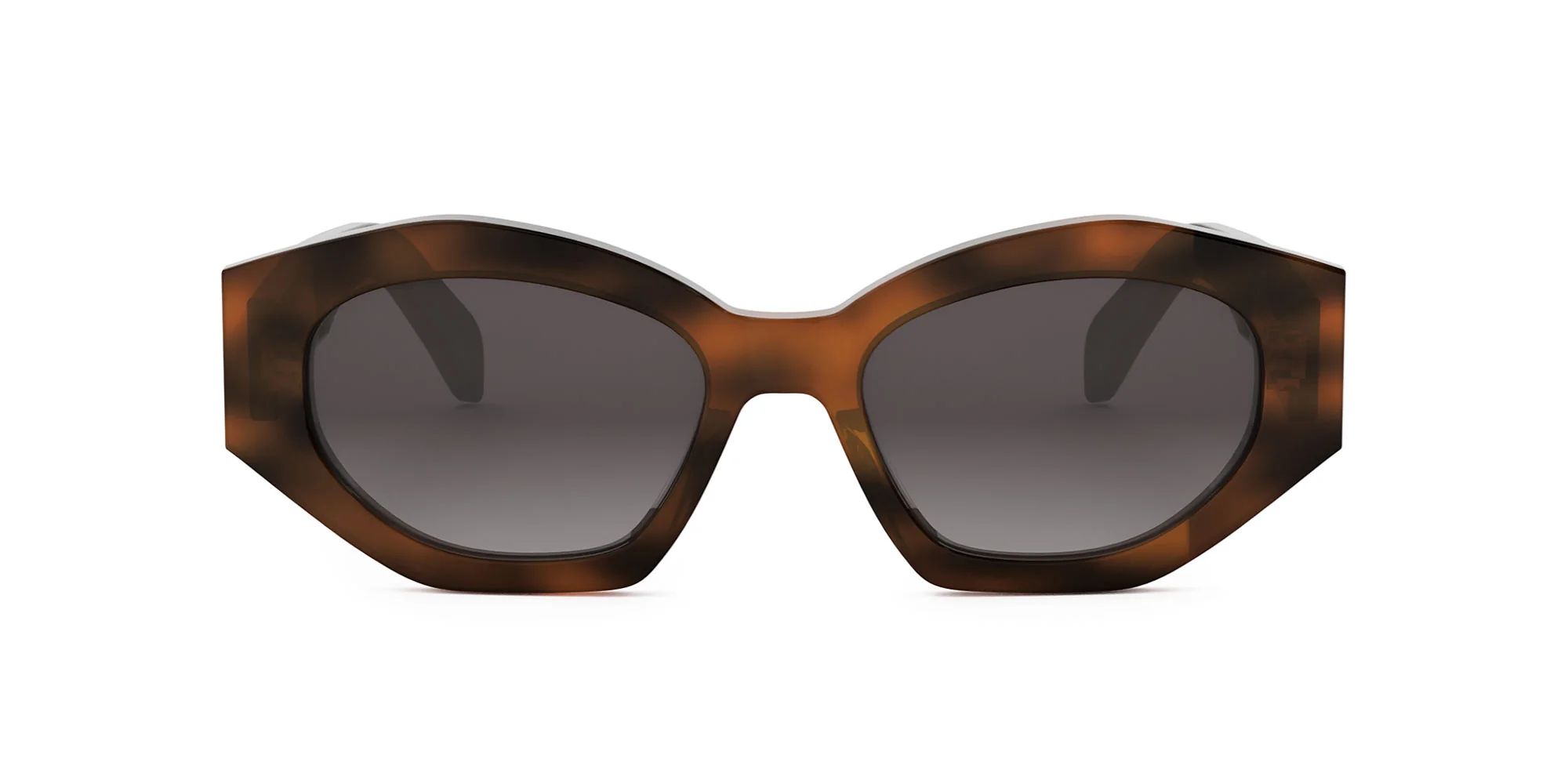 CELINE Triomphe CL40238U - Image 10