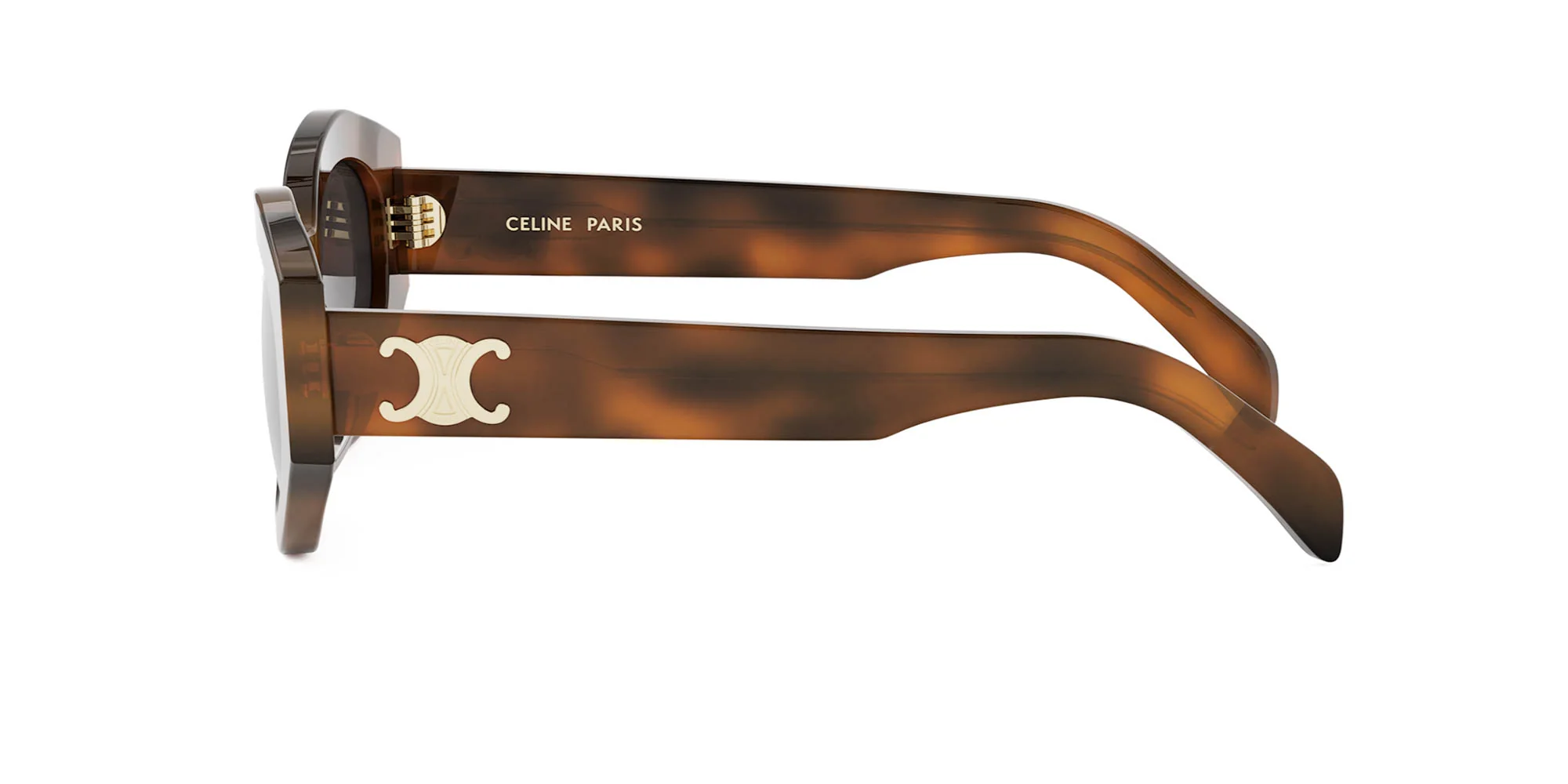 CELINE Triomphe CL40238U - Image 11