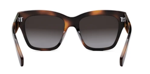 CELINE Triomphe CL40253I - Image 11