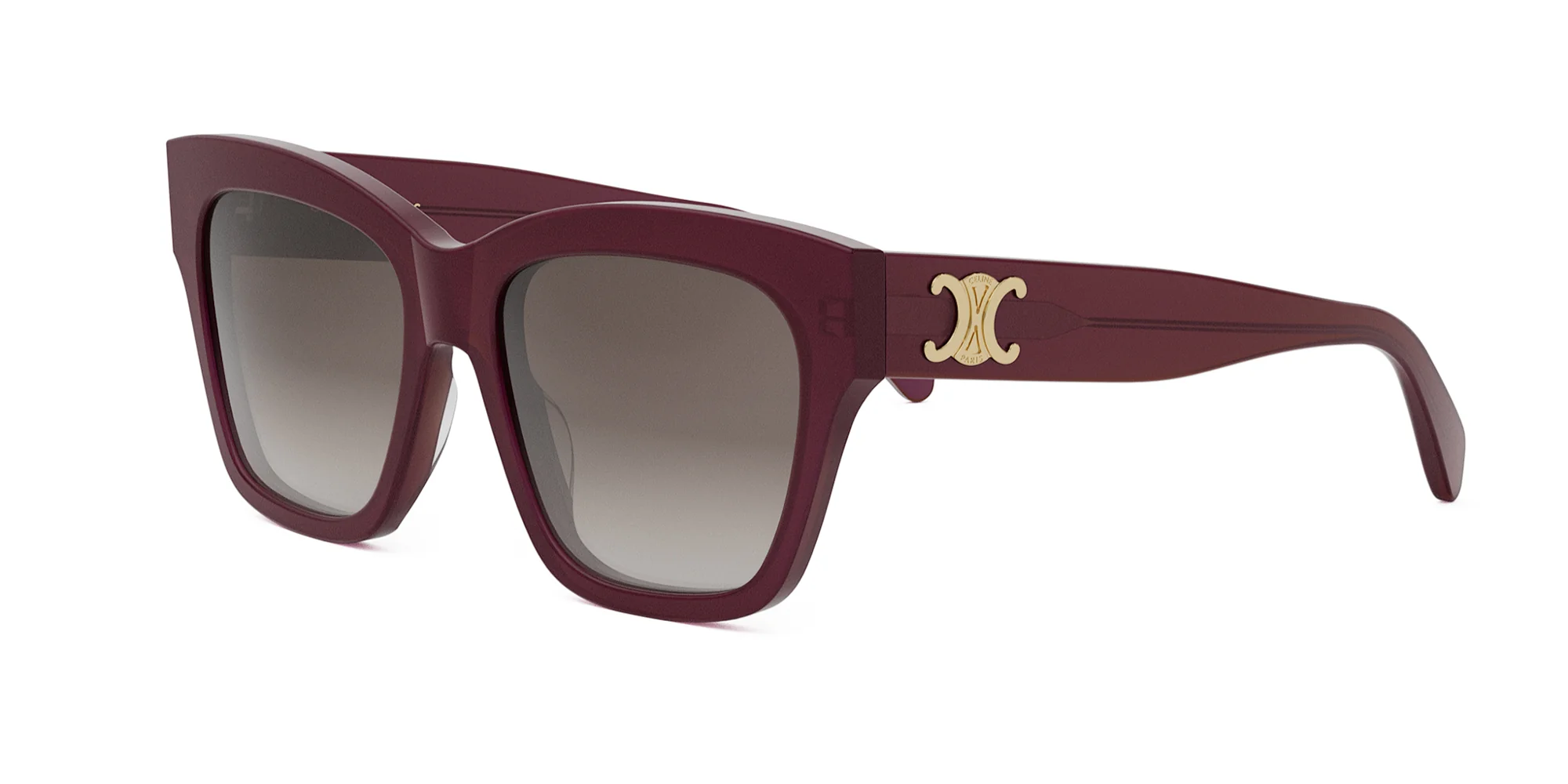 CELINE Triomphe CL40253I - Image 23