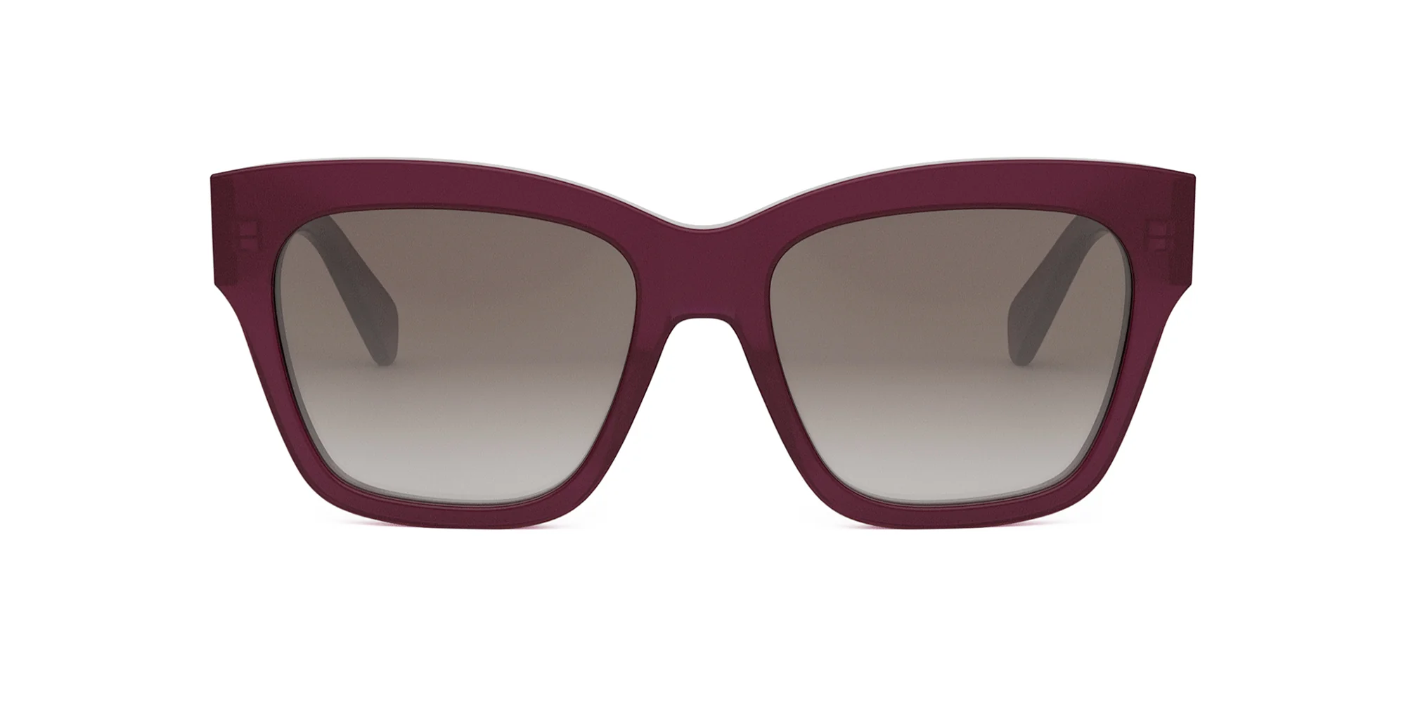 CELINE Triomphe CL40253I - Image 24