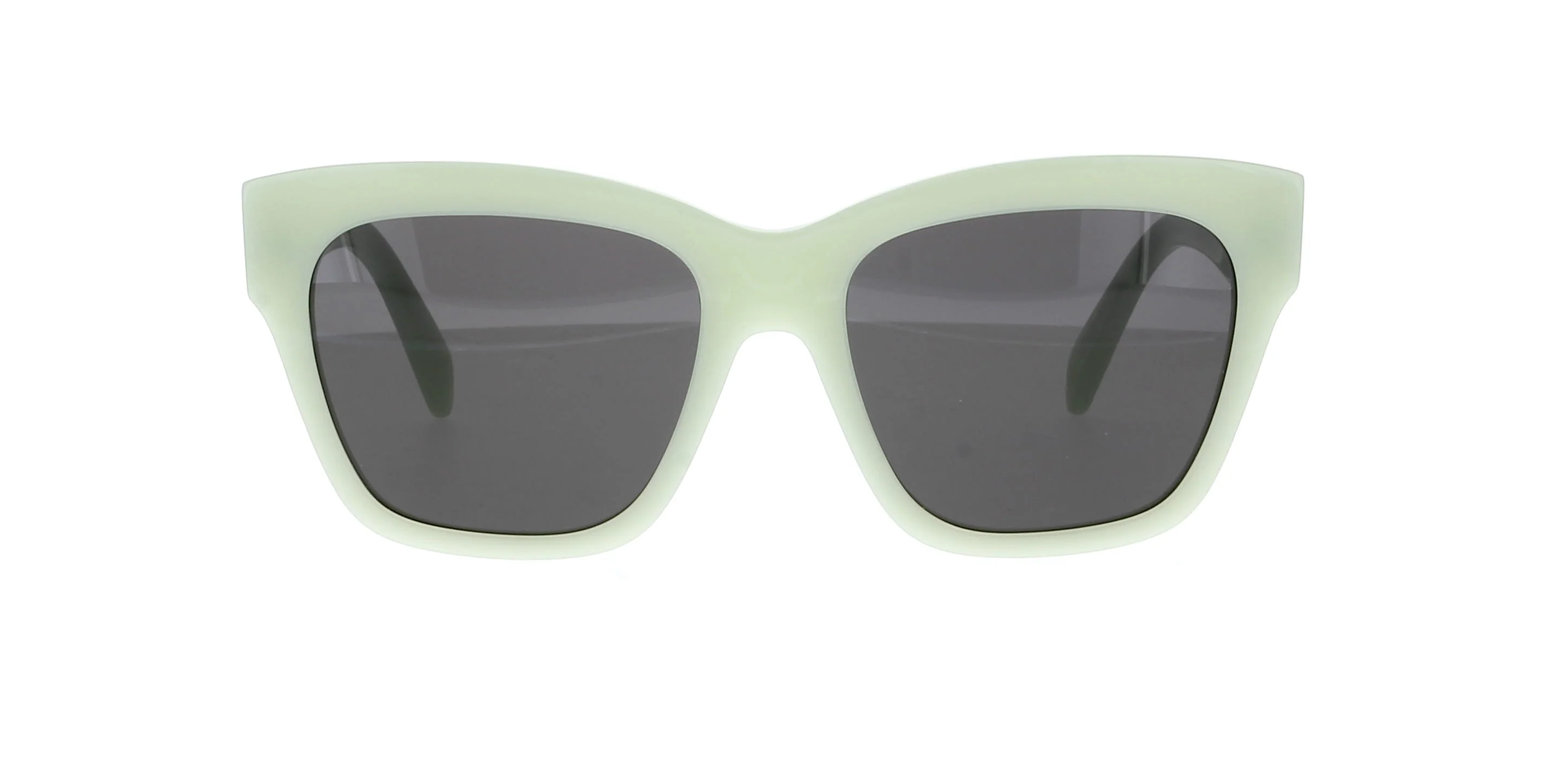 CELINE Triomphe CL40253I - Image 32