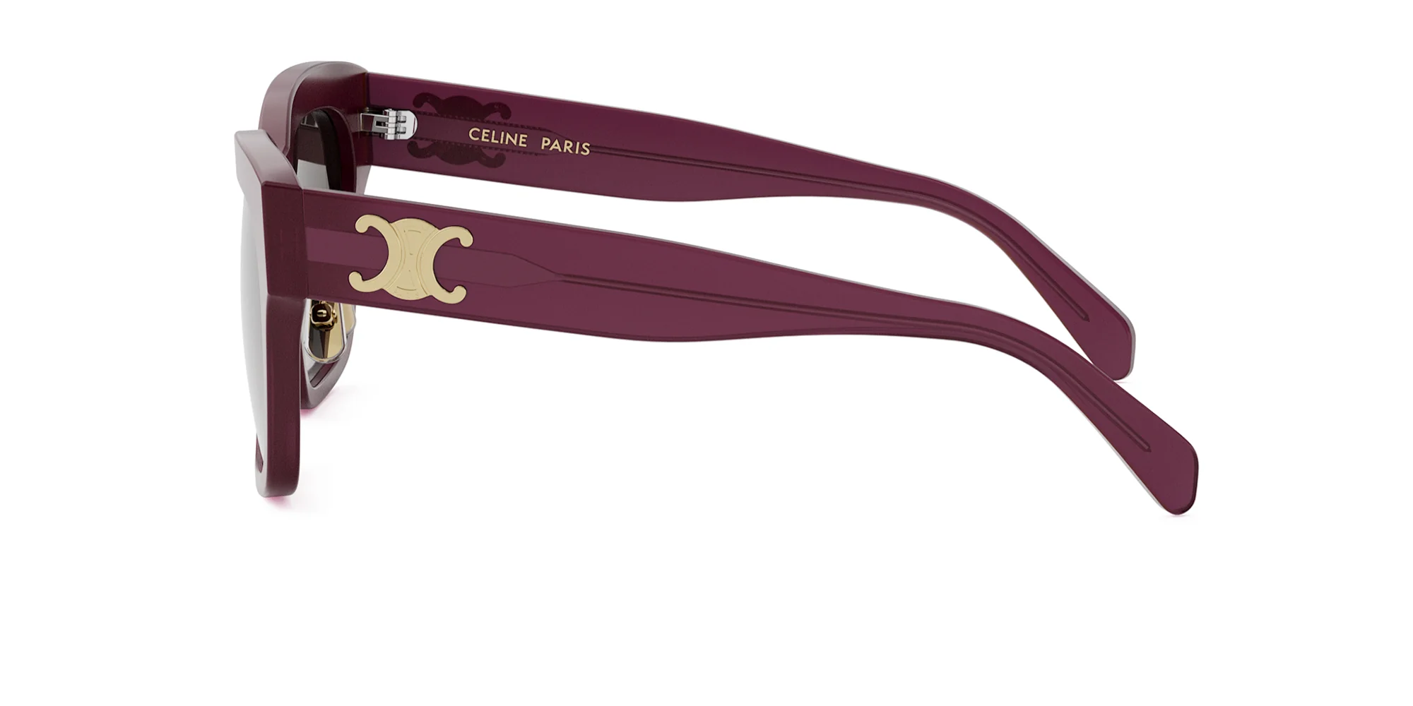 CELINE Triomphe CL40253F - Image 3