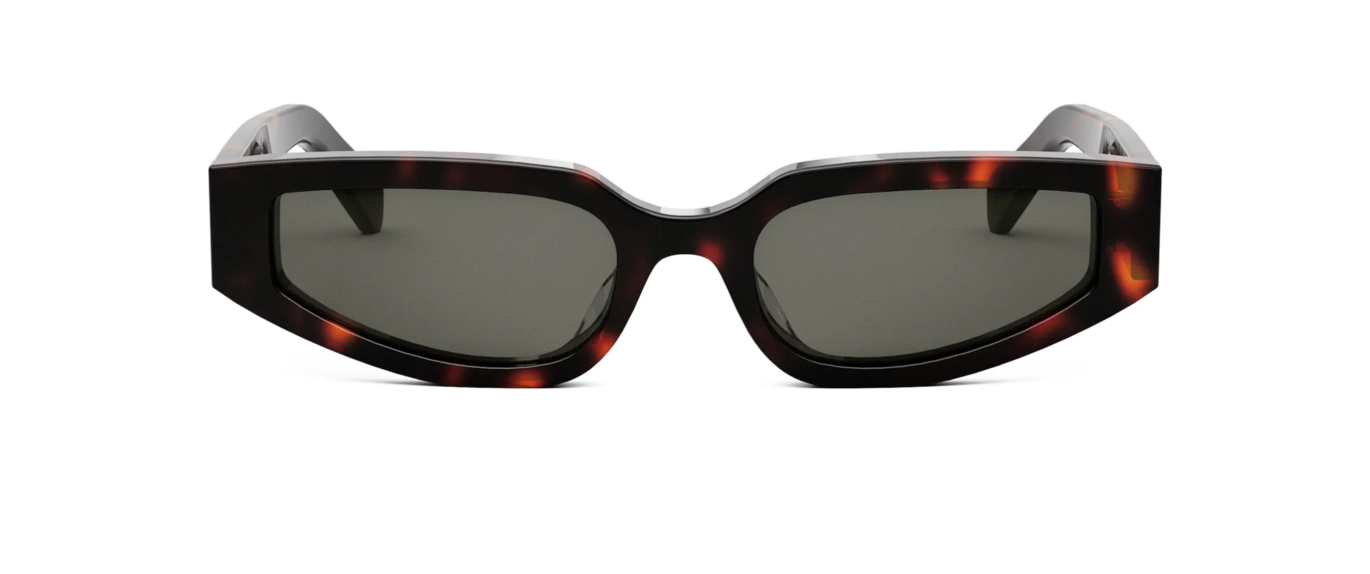 CELINE Triomphe CL40269U - Image 9