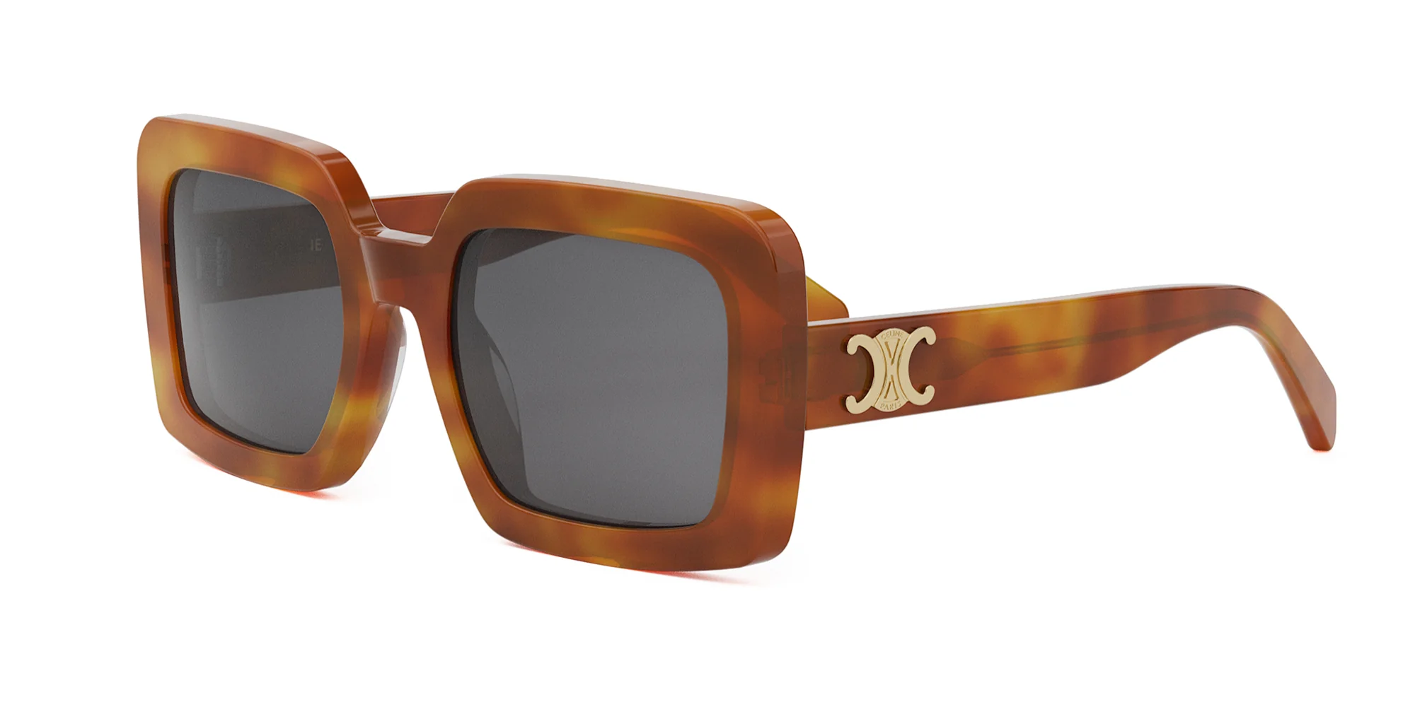 CELINE Triomphe CL40304U - Image 10