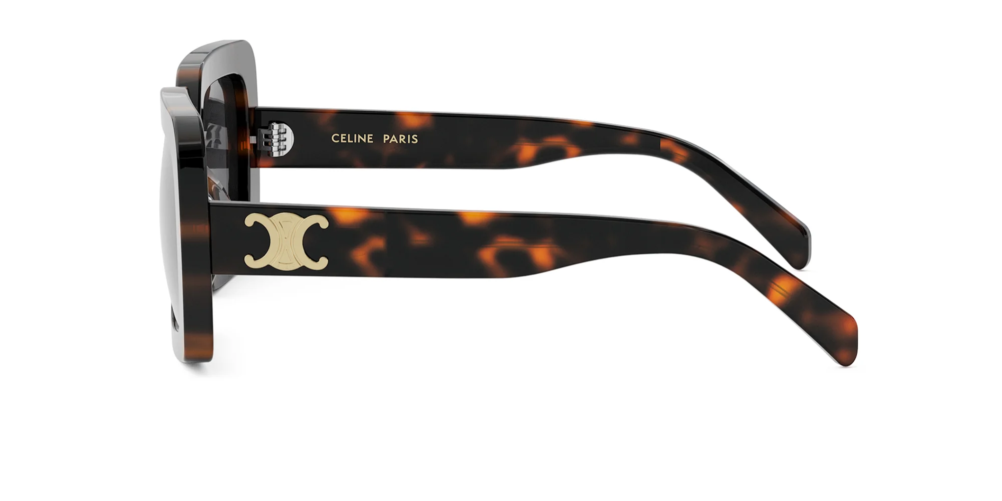 CELINE Triomphe CL40304U - Image 9
