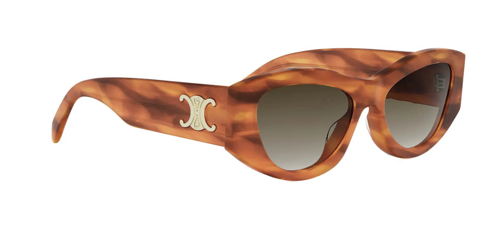 Celine Triomphe CL40308U - Image 22