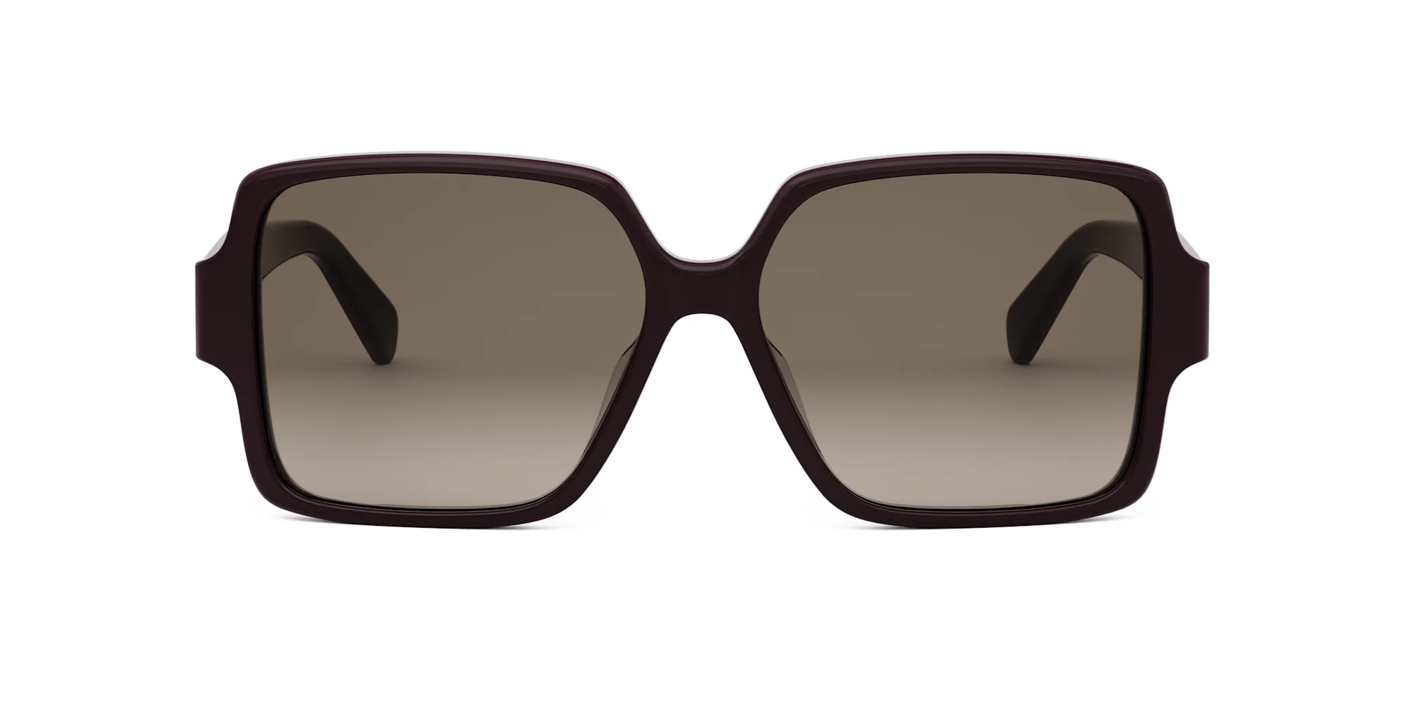 CELINE Triomphe CL40316U - Image 11