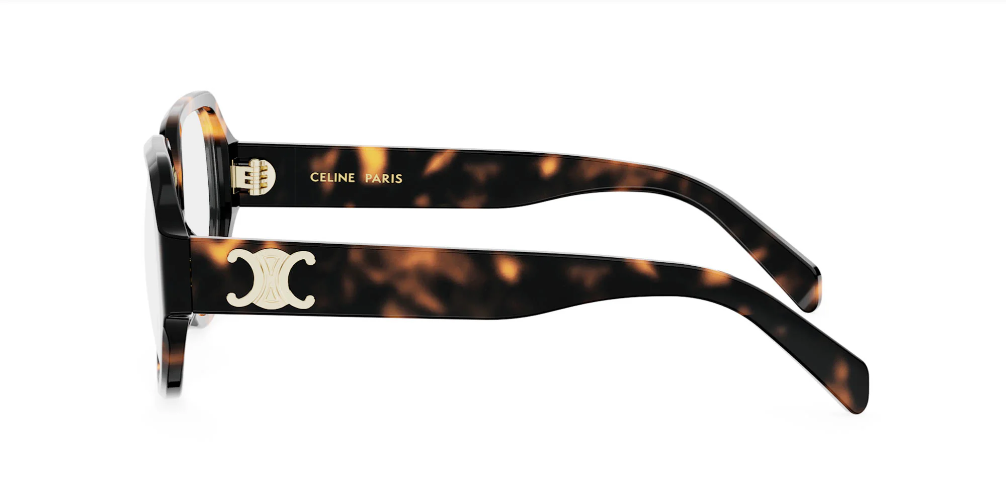 CELINE Triomphe CL50165I - Image 6