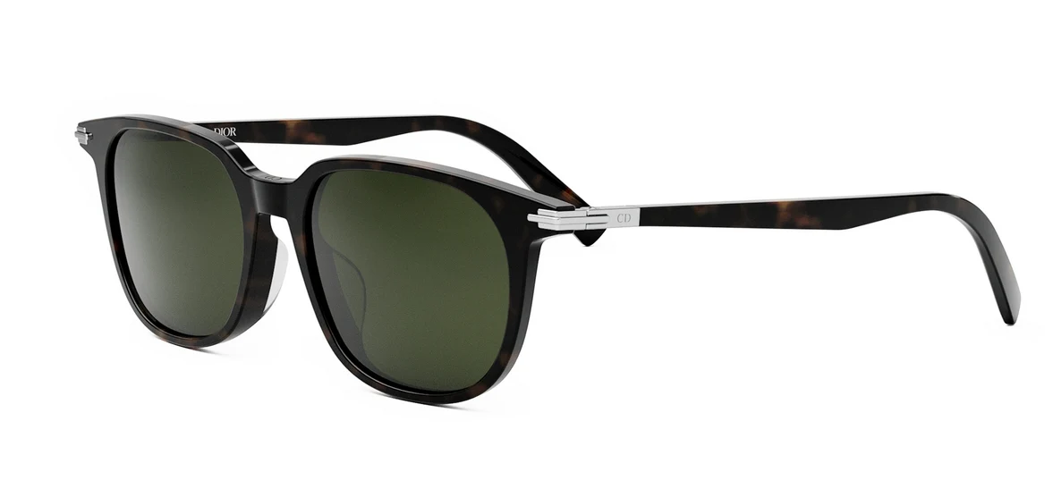 Dior BlackSuit S12F