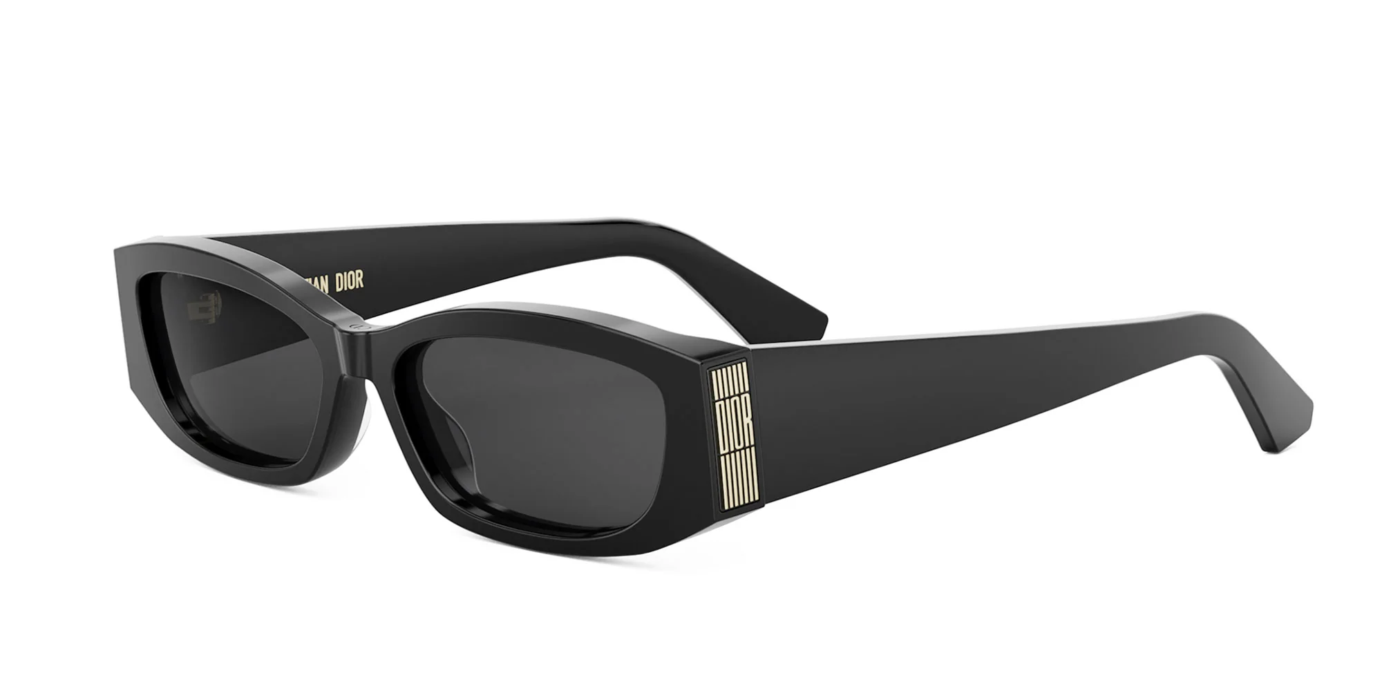 Dior Graphique S1I