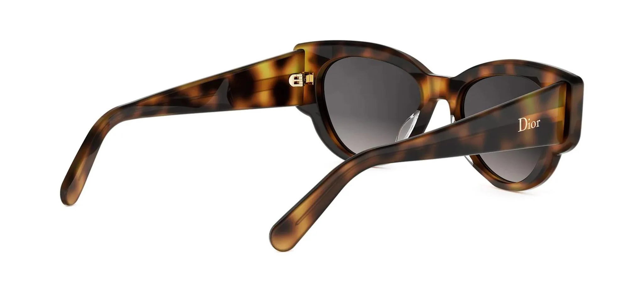 Dior Lucky Charms B1I - Image 21