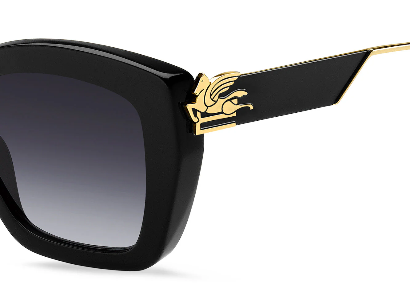 ETRO 0039/G/S - Image 14