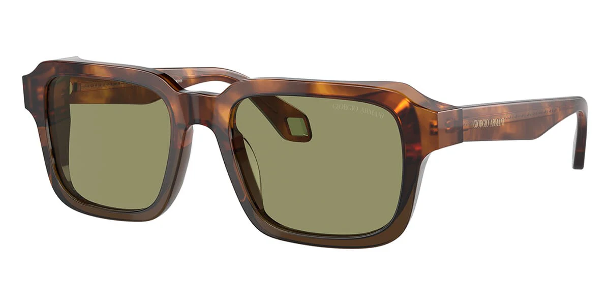Giorgio Armani AR8194U