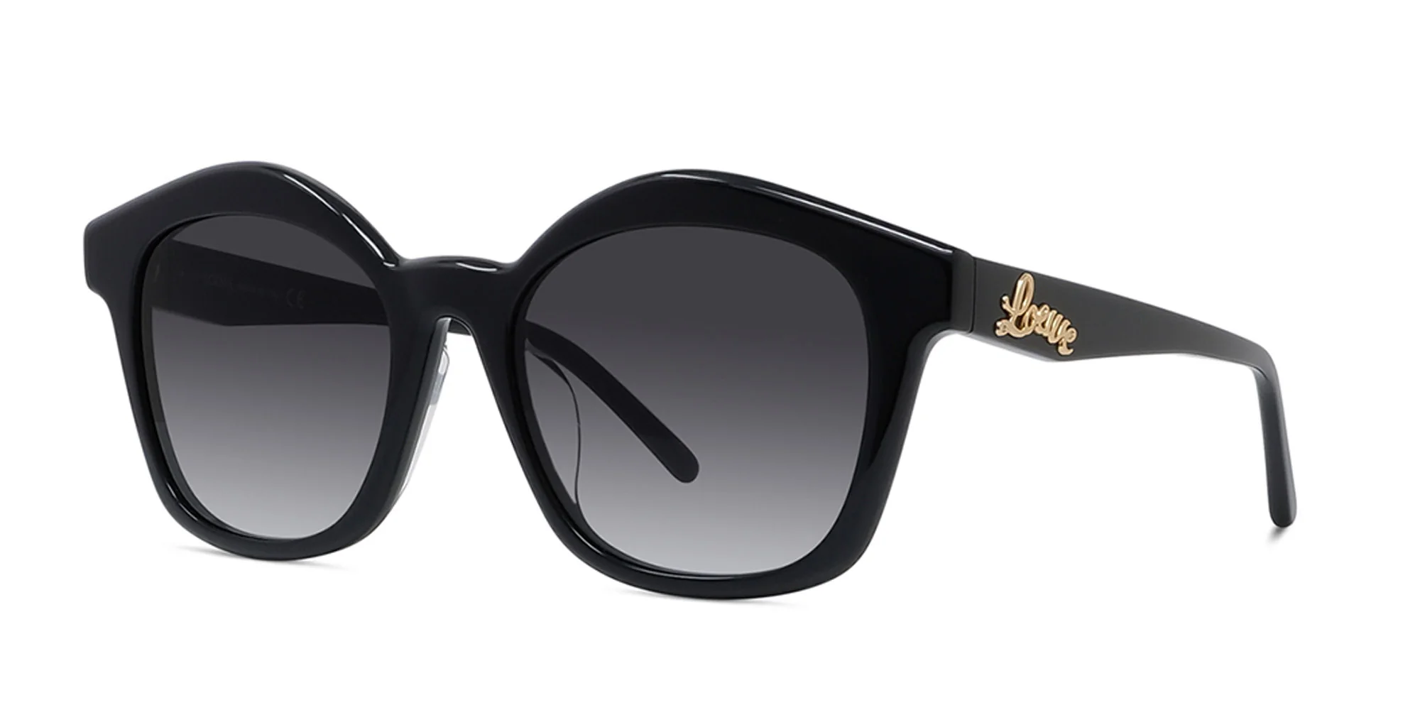 Loewe LW40079U